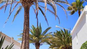 NEW AVATEA Parque Natural, piscinas y tennis - Foto 2