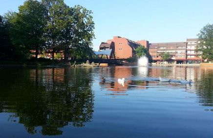 Confortevole bilocale a Basiglio - Milano 3 - Foto 20