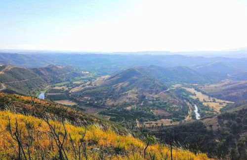 Garden in the City - Photo 21