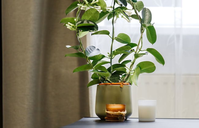 RIGAAPARTMENT ELIZABETES 22 Aparthotel - Photo 7