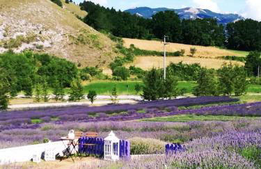 Camera con vista - Photo 32