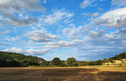 Weinberghaus - Wohnen im Weinberg in der Toskana des Nordens - Foto 46