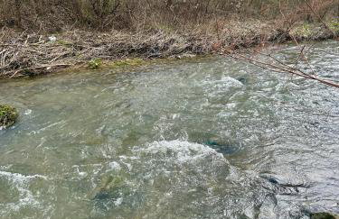 Siedlisko Nad Potokiem - Foto 8