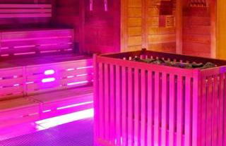 100m zum Ulmer Münster: 57m² Wohnung an der Blau - Foto 39