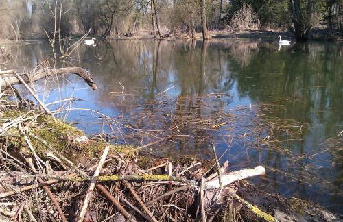 Pure Nature Munich - Amper Meadows/Freising - Foto 55