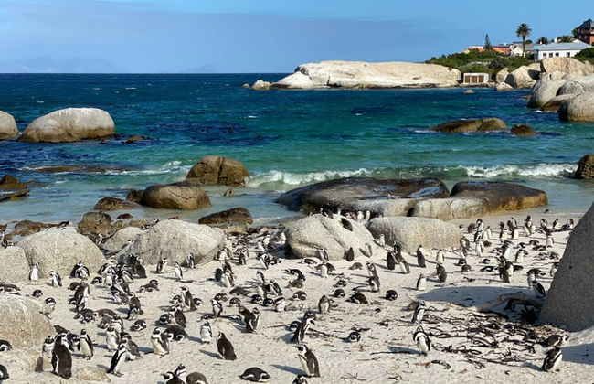 Seascape, Simon's Town - Foto 57