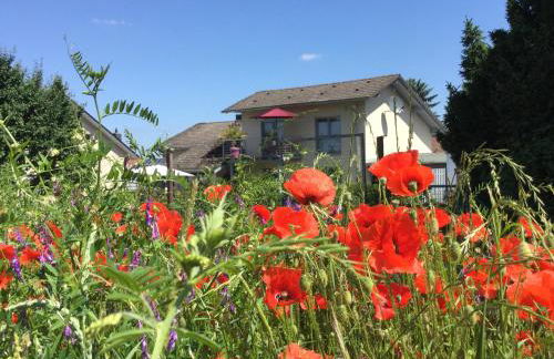 Charmante Ferienwohnung 100 qm - Foto 24