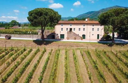 Fattoria Camigliano, Luxury Farmhouse with Pool inside a Wine Estate - Foto 57