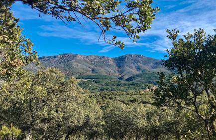 Casa Rural La Joyona - Foto 26