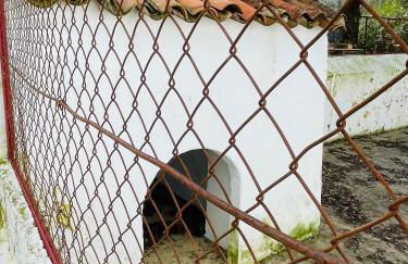 Casa do Martinho - Foto 29