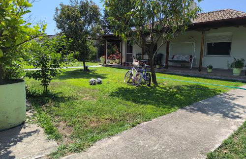 Maria's House - Foto 4
