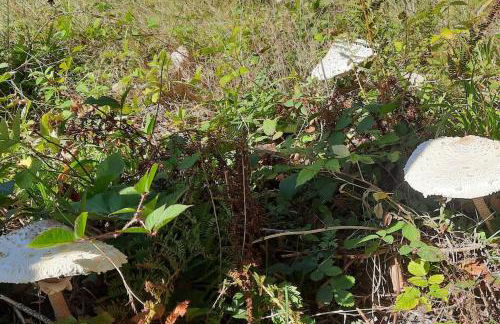 Appartement VERCORS 4 personnes - Foto 18