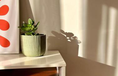 Studio central e ensolarado - Foto 30