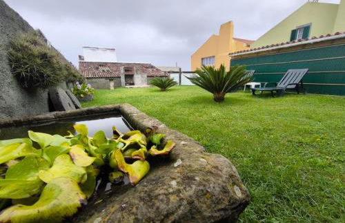 Flor da Natureza - Flor - Photo 16