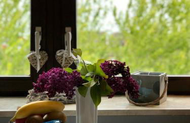 Appartements Friedrichsen - Foto 12