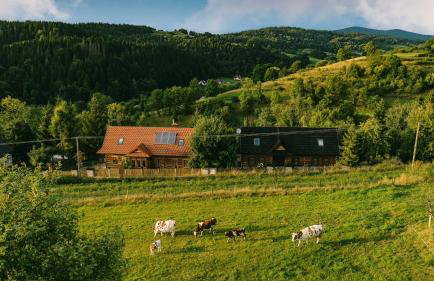 Góralskie domy w Łostówce - Foto 61