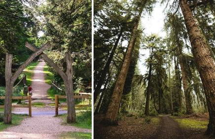 Vitre Gardens - Foto 46