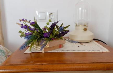 Casa Rubito el Olmo - Foto 27