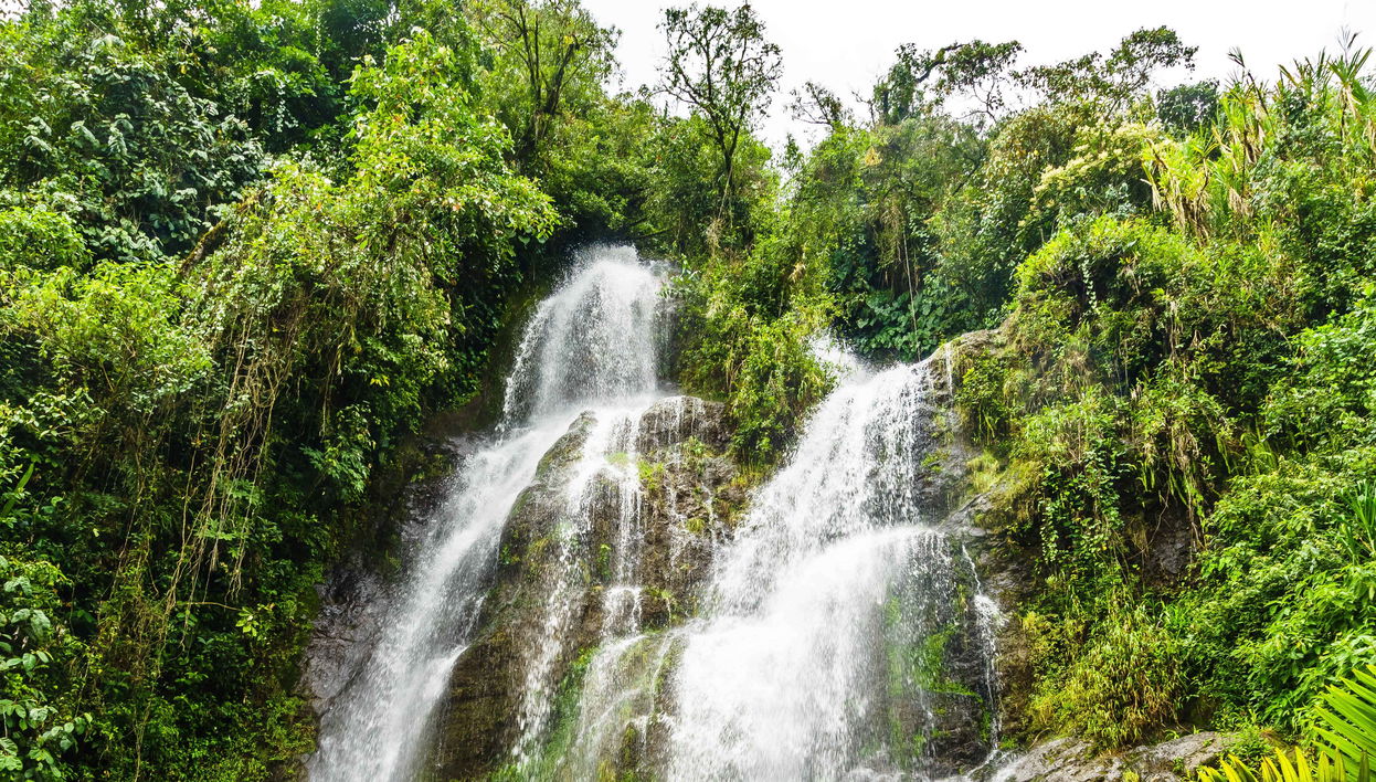 Tour in Jardín - Foto 1