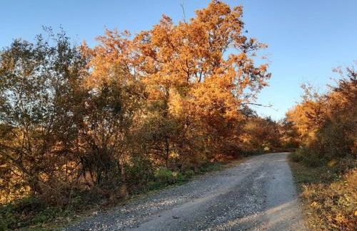 Apartamento Baztán - Foto 16