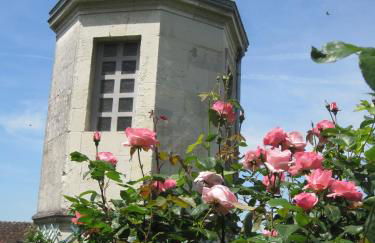 Villa à l'ancien Pigeonnier - Foto 69