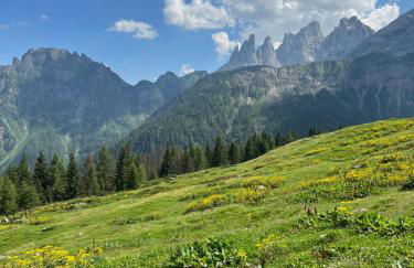 Casa Mammolo Falcade - Foto 29