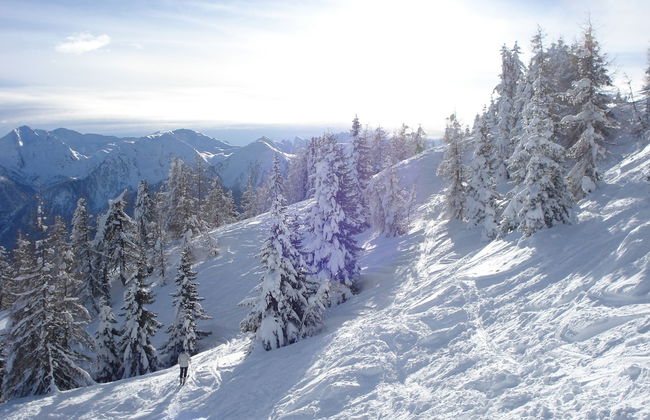 Der Brückenwirt - Foto 59