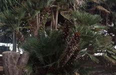 Charming House in Marsala with Private Garden - Foto 42