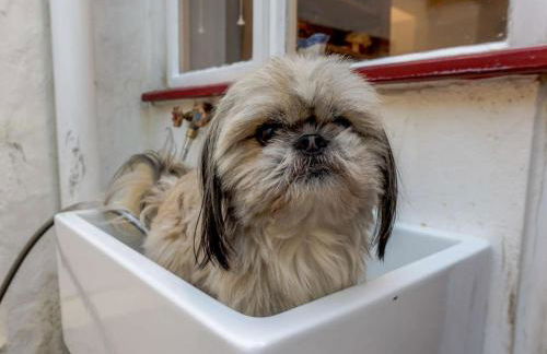 5 Bed in Bideford oc-89620 - Foto 31