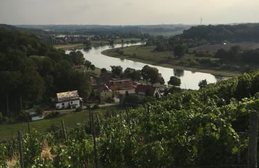 Ferienhaus mit Pool im Seußlitzer Grund - Foto 47