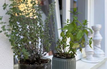 Casa Lazzari - Giardino Segreto a 3 min da Villa Maria Cecilia Hospital - Foto 18