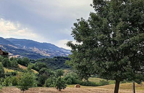 Appartamenti Giove by Ospitaci - Foto 26