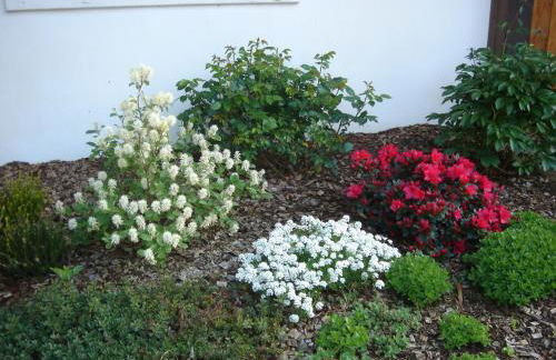 Ferienwohnungen An den Linden - Foto 12