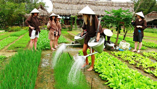 Aldea de vegetales Tra Que desde la ciudad de Danang - Tour de día completo - Foto 2