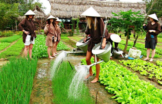 Aldea de vegetales Tra Que desde la ciudad de Danang - Tour de día completo - Foto 2