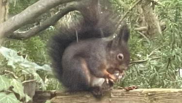 GLC Gauting Living Comfortable 100 - Foto 4