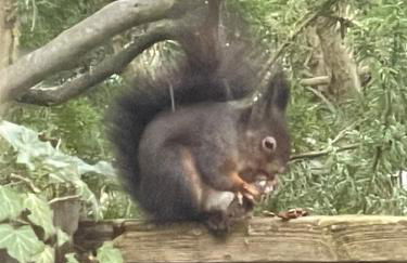 GLC Gauting Living Comfortable 100 - Foto 4