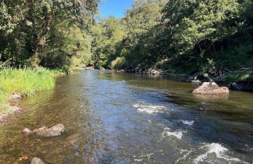 La rive du Viaur - Foto 1