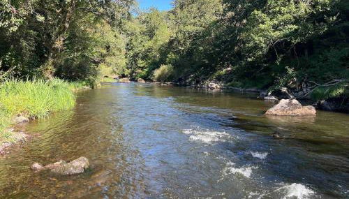 La rive du Viaur - Foto 1