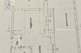 i tulipani - Foto 46