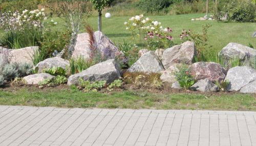 Seepferdchen - Foto 3, Garden