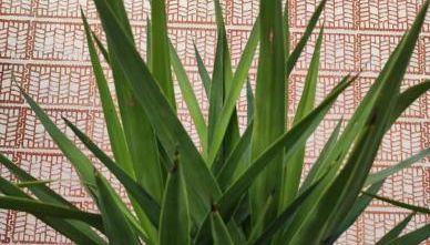 VUELVE apartamentos - Foto 4