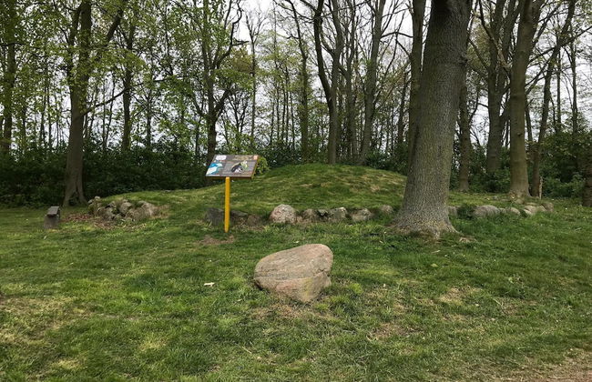 Exclusives Appartement auf Fehmarn - Foto 28