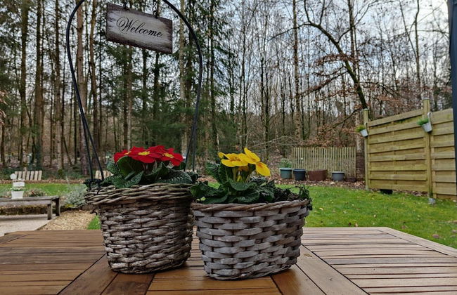 Nice Chalet by the Woods in Saint-leger - Foto 15