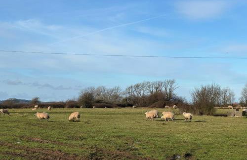 3 Bed house near Tenby with Hot Tub - Photo 6