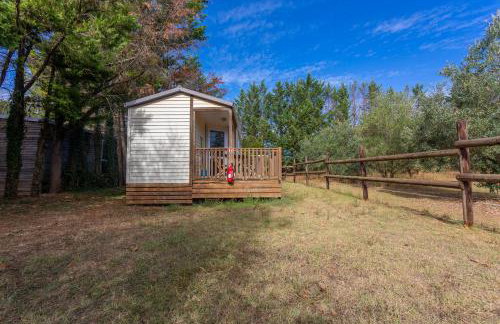 L’oliveraie Écuries Mas di Gau - Foto 14