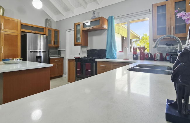 Casa Maurice Ocho Rios Villa - Foto 16