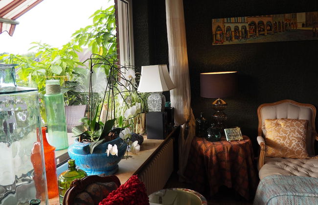 Golden Treasure Deluxe - Foto 24