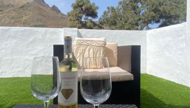 Villa LA RAMA DEL DRAGO, Agaete - Foto 2, Garden