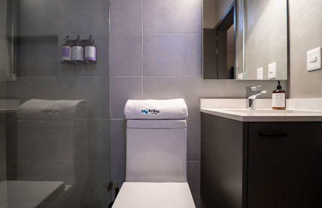 Tribu San Martín Chapultepec - Foto 72